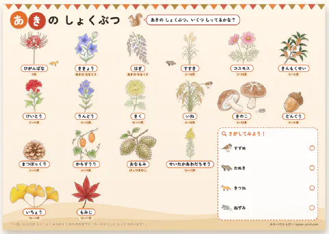 学習ポスター「あきの しょくぶつ」